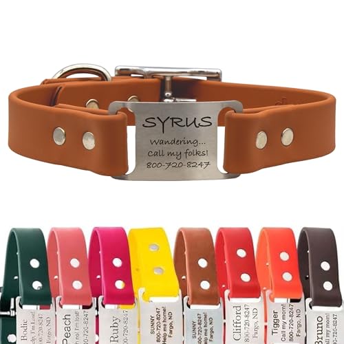 dogIDs Personalized Dog Collar – ScruffTag Custom Waterproof Biothane Dog Collar with Laser-Engraved Name, Durable & Odor-Resistant – USA Made | Terracotta, 1 in x 16 in (Fits Neck Sizes 14-18 in) - color: Terracotta, size: 1 in x 16 in (Fits Neck Sizes 1