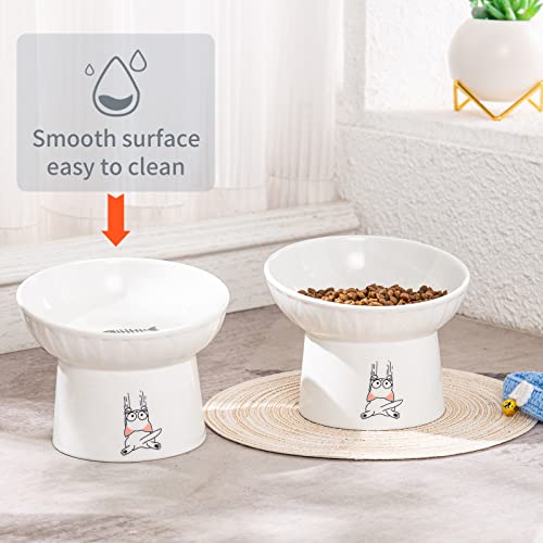 6.5 Inch Extra Wide Ceramic Raised Cat Bowls, Porcelain Tilted Elevated Cat Food Water Bowl Dish, Stress Free Pet Feeder Bowls Dishes for Elder Big Cats & Small Dogs, White - 2 Pack - color: White & White