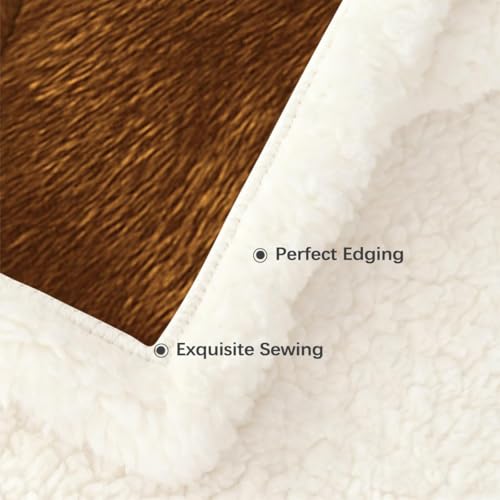 BlessLiving Basenji Throw Soft Blanket Sherpa Fleece Lined Blanket Pet and Dog Lovers Home Throw Blankets (Twin, 60 x 80 Inches) - color: Basenji, size: Twin, 60 x 80 Inches