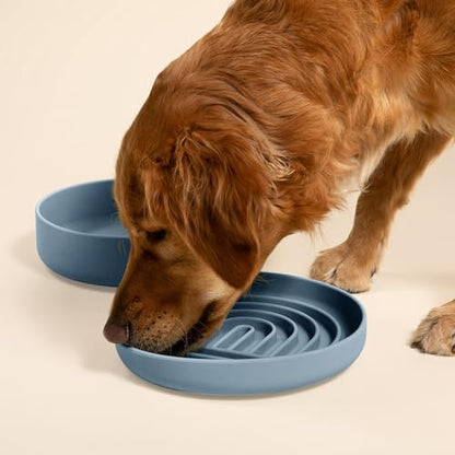 Should We Go? Slow Feeder for Dogs & Puppies, The Slowdown Bowl Silicone Slow Eating, Modern Lick Mat Design, Reduces Gulping, Fits 2.5 Cups, 9.5” Across x 1.5” Tall, Mealtime Challenge, Large-Ocean - color: Ocean - Rainbow Design, size: Large (9.5” Acros