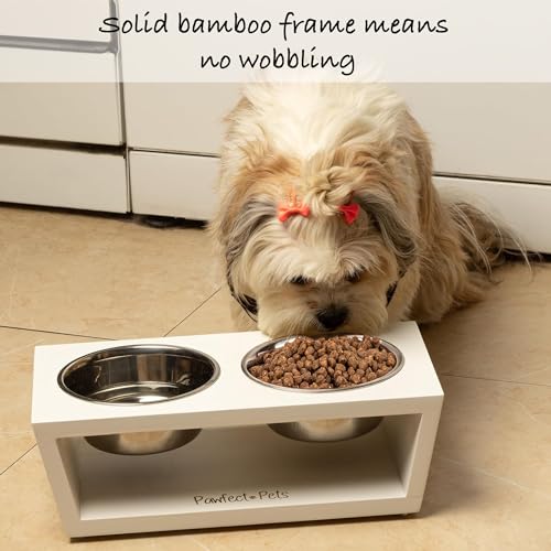 4" Tall Elevated Dog Bowls for Small Dogs and Cats. Raised Dog and Cat Food and Water Bowl Set by Pawfect Pets (White) - color: White