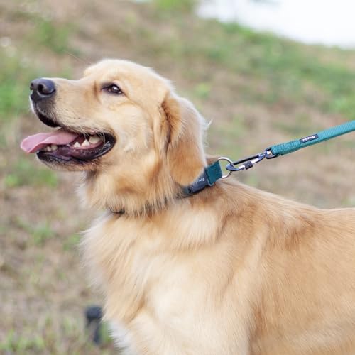 Small Dog Collar Quick-Release Green| Heavy-Duty Nylon Puppy Collar, Adjustable & Durable Pet Supplies for Boy & Girl Dogs (Small, Dark Green) - color: Dark Green, size: Small