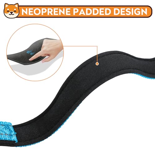 Reflective Dog Collar, Adjustable Soft Neoprene Padded Nylon Pet Collars with Buckle for Puppy and Small Dogs, Cats, Sky Blue,XS - color: Sky Blue, size: X-Small