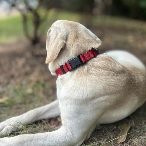 Premium Traditional Nylon Webbing Adjustable Dog Collars,Durable and Smooth Regular 1 Inch Wide Dog Collars with Quick Release Snap for Large Breed Dogs Daily Helper. (Large, Chili Pepper) - color: Chili Pepper, size: Large 16-24 Inches
