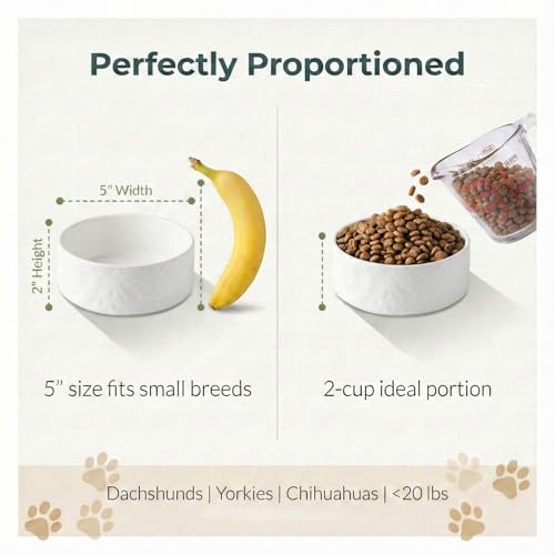 Ceramic Dog and Cat Bowl 2-Pack Small Heavy Weighted Non-Slip Food & Water Set for Cats & Small Dogs 13.5oz White - color: White – 2 Pack