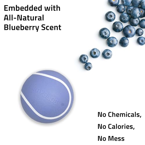 Playology Dog Toys | Squeaky Chew Ball - Bouncy Durable Floating Fetch Ball for Dogs | Jumbo Blueberry Scented Toy - Easy to Clean and Made from Non Toxic Materials - size: Jumbo, style: Blueberry