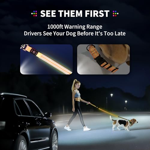 Night Walking LED Dog Leash - 6FT Reflective & Waterproof Light Up Safety Leashes for Dogs - USB Rechargeable, Orange - color: Orange(Fiber optic version)