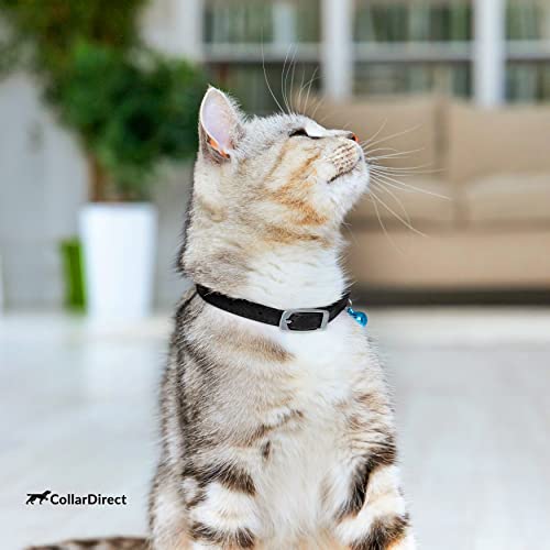 CollarDirect Leather Cat Collar with Removable Bell – Safety Elastic Strap (Breakaway Alternative) – Kitten Collar for Small & Big Boy & Girl Cats - color: Black, size: Neck Fit 6"-7"