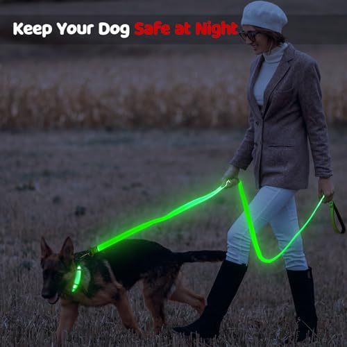 LED Dog Leash 6 Feet Micro USB Rechargeable Nylon Webbing Glow Safety Standard Dog Leash (Green) - color: Green, size: 6 Feet