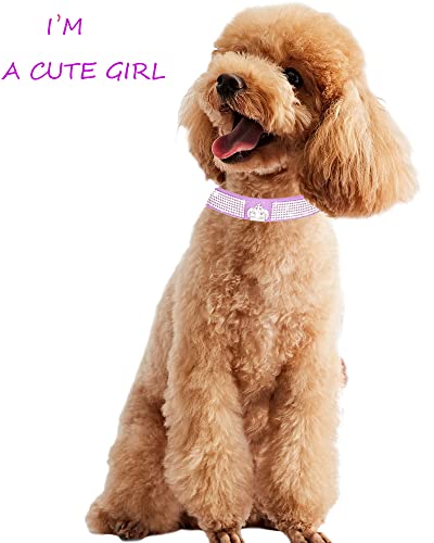 Dog Collar for Small Dogs, Adjustable Leather Suede Bling Dog Collars，Pink Dog Collar Cat Collar, Rhinestone Dog Collar (XS, purple3) - color: purple3, size: XS