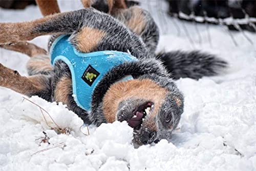 EcoBark Dog Harness - Eco-Friendly Max Comfort Harnesses - Luxurious Soft Mesh Halter - Over the Head Harness Vest- No Pull and No Choke for Puppy, Small Breeds & Medium Dogs (Large, Sky Blue) - color: Sky Blue