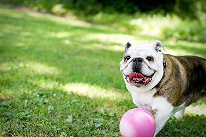 Jolly Pets Bounce-n-Play Dog Toy Ball, 6 Inches, Pink, 6 Inches/Medium (2506 PK) - color: Pink, size: Medium (6 in)