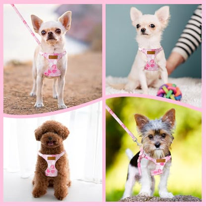 Lukovee Puppy Harness and Leash Set, No Pull Lightweight Soft Suede Adjustable Pet Harness Vest with Snap Buckle for Puppy Small and Medium Size Dog (Pink Strawberry, XS) - color: Strawberry, size: X-Small ( 5.5-11lb )