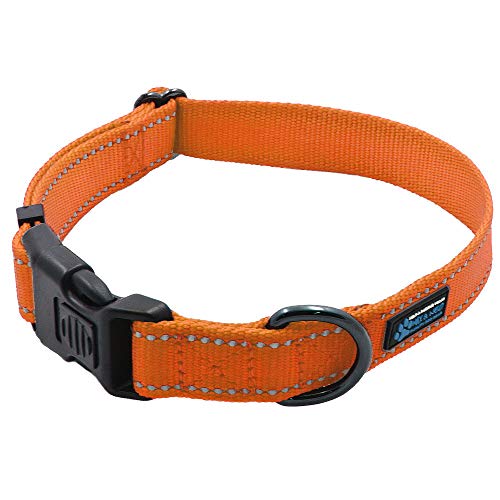 Max and Neo NEO Nylon Buckle Reflective Dog Collar - We Donate a Collar to a Dog Rescue for Every Collar Sold (Small, Orange) - color: Orange, size: Small