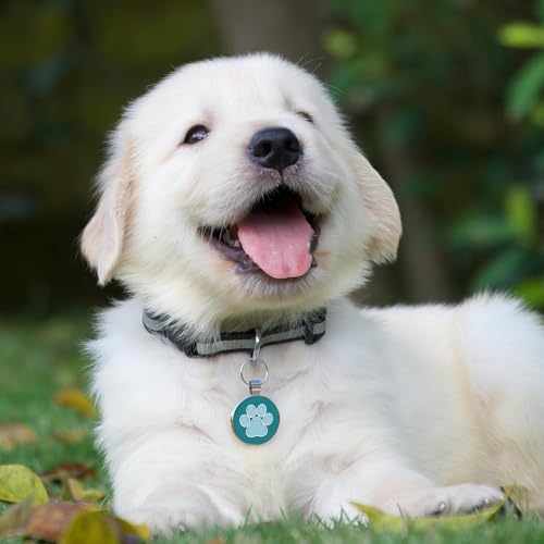 QR Code Pet ID | Personalized Dog & Cat Collar Tag | Online Profile with Instant Scanned Location Alert Email - style: Blue Paw