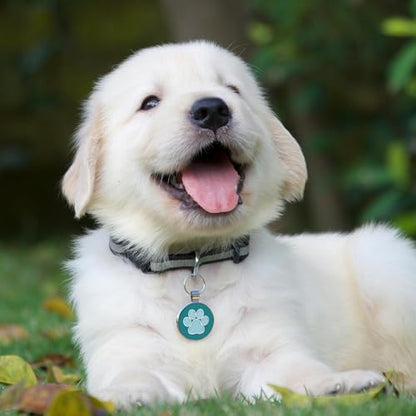 QR Code Pet ID | Personalized Dog & Cat Collar Tag | Online Profile with Instant Scanned Location Alert Email - style: Blue Paw