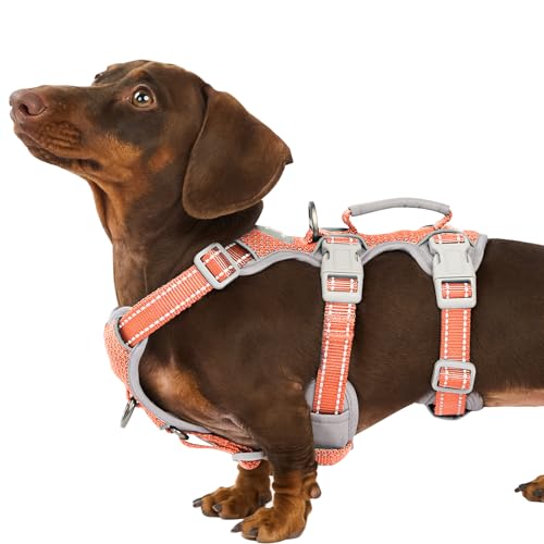 Huntboo Escape Proof Dog Harness, Escape Artist Harness, Fully Reflective Harness with Padded Handle, Breathable, Durable, Adjustable Vest for Small Dogs Walking, Training, and Running Gear (Orange,S) - color: Orange, size: Small(Pack of 1)