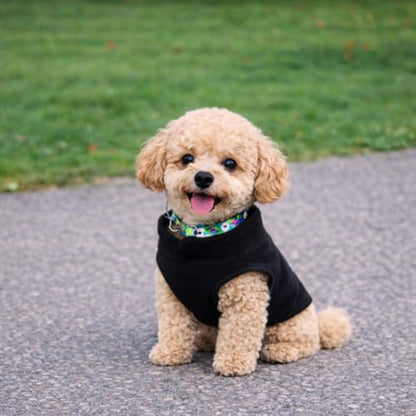 JACKO & CO - Fleece Vest Dog Sweater with Leash Ring - Soft, Warm & Lightweight Pullover Coat for Small & Medium Dogs, Puppies & Cats - Cozy Fall/Winter/Spring Pet Jacket (Black, XS 2-4lbs) - color: Black, size: XS (2-4lbs)