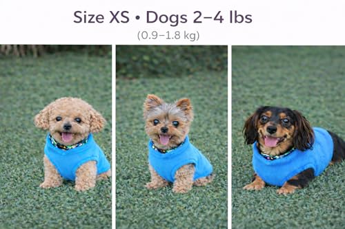 JACKO & CO - Fleece Vest Dog Sweater with Leash Ring - Soft, Warm & Lightweight Pullover Coat for Small & Medium Dogs, Puppies & Cats - Cozy Fall/Winter/Spring Pet Jacket (Blue, X-Small 2-4lbs) - color: Blue, size: XS (2-4lbs)