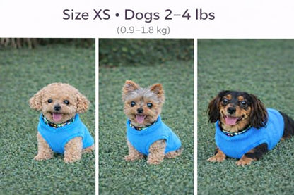 JACKO & CO - Fleece Vest Dog Sweater with Leash Ring - Soft, Warm & Lightweight Pullover Coat for Small & Medium Dogs, Puppies & Cats - Cozy Fall/Winter/Spring Pet Jacket (Blue, X-Small 2-4lbs) - color: Blue, size: XS (2-4lbs)