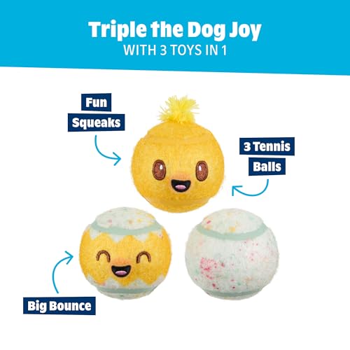 Barkbox Play Hatch Rubber Tennis Balls for Dogs & Puppies | Trio of Squeaky Fetch Balls for Bounce, Chase & Play | Durable, Engaging & Fun for Playful Pups - color: Play Hatch