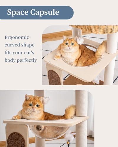 Modern Cat Tree for Large Cats, Modern Cat Tree Tower with Wide Shelves Cotton Scratching Posts, Super Sturdy Base, Cozy Perches, and Interactive Toys for Indoor Kittens 31-Inch - color: S81D