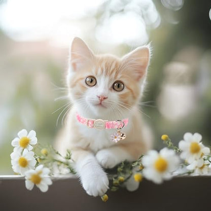 2 Pack Pink Cat Collars - Cute Bow & Daisy Breakaway Cat Collar with Bell & Matching Pendant, Soft Adjustable Spring Summer Girly Kitten Collars for Girl Cats - color: Pink Bow&Daisy