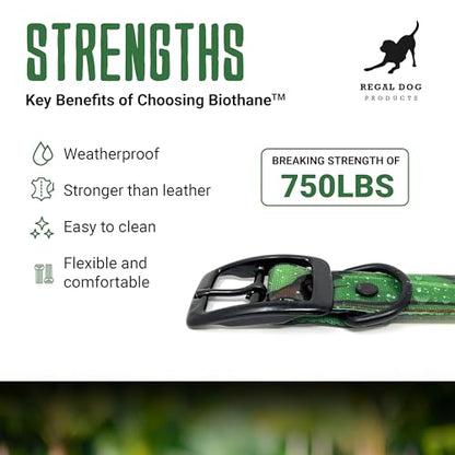 Regal Dog Products Large Green Camo Hunting Dog Collar with Custom Engraved Name Plate and Heavy Duty Black Hardware | Waterproof Personalized Dog Collars | Other Sizes for Small, Medium & Large - size: Large, style: Green Camouflage