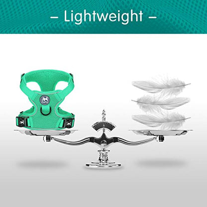 PoyPet Reflective Soft Breathable Mesh Dog Harness Choke-Free Double Padded Vest with Adjustable Neck and Chest(Mint Green,S) - color: Mint Green, size: S