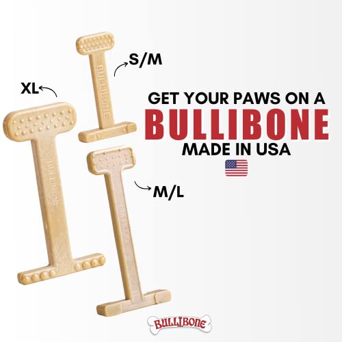 Bullibone Nylon Dog Chew Toy for Aggressive Chewers - Dental Hygiene Bone with Peanut Butter Flavor, Durable Tough Chew Toys for Small Dogs, Indestructible Dog Bone - 2 Pack - size: Small - 2 Pack