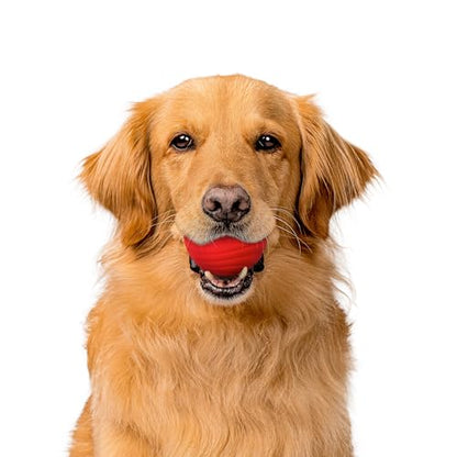 Playology Dog Toys | Dual Layer Ball Durable Chew Toy for Tough Chewers | Beef Scented Jumbo Dog Ball | Chew Toys for Large Dogs - size: Jumbo, style: Beef