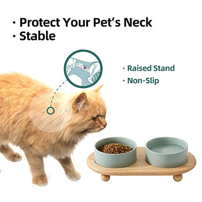 Havniva Raised Cat Bowls Water Bowl 5.1” Elevated Ceramic Cat Food and Water Bowl Whisker Friendly Pet Food Bowls for Indoor Cats, Wide Cat Water Dish Prevent Whisker Fatigue Non Slip Cat Feeder - color: 2 x Bowl + Stand - Light Green