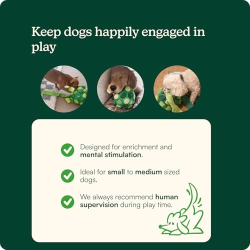 Reggie Dog Training Treats with Enrichment Toy | Turkey & Pumpkin Dog Treats + Forager Ball | Low-Calorie High-Protein Rewards | Mental Stimulation for Dogs | 340 Treats - size: Forager Ball - Turkey & Pumpkin