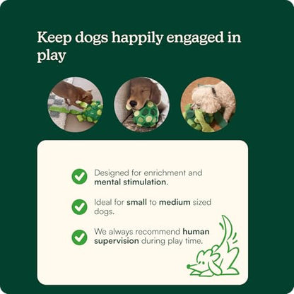 Reggie Dog Training Treats with Enrichment Toy | Turkey & Pumpkin Dog Treats + Forager Ball | Low-Calorie High-Protein Rewards | Mental Stimulation for Dogs | 340 Treats - size: Forager Ball - Turkey & Pumpkin