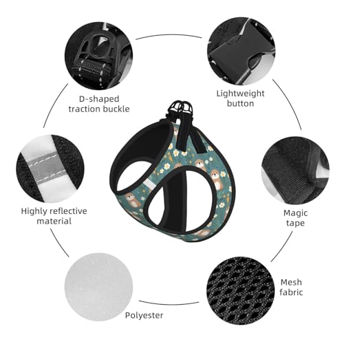 Flowers Otters Pet Harness Escape Proof Dog Harness Adjustable Mesh Padded Reflective Dog Vest Harness and Leash Set Small - color: Style 10, size: Small