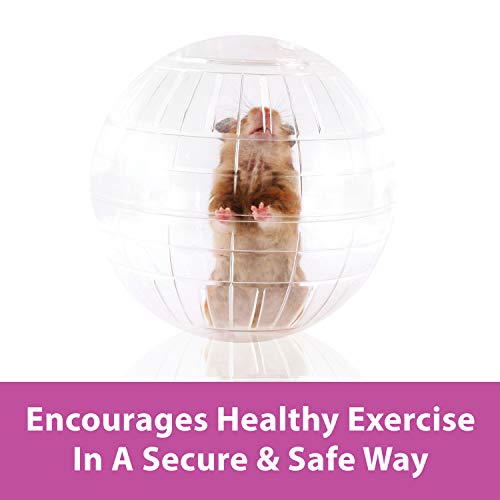 Kaytee 13" Clear Run-About Exercise Ball For Pet Rats & Chinchillas - color: Clear, size: 13"
