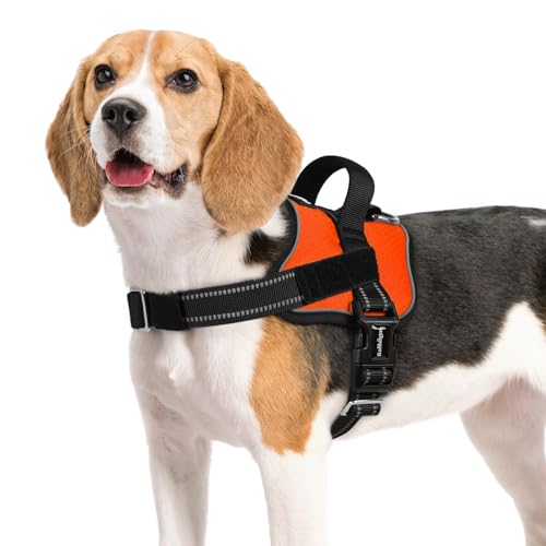 rabbitgoo Dog Harness Medium Sized, Easy On Pet Vest with One Buckle, No Pull Adjustable Service Harness with D-Ring & Handle, Reflective for Safety Walking, Training, Orange, M - color: Orange, size: Medium