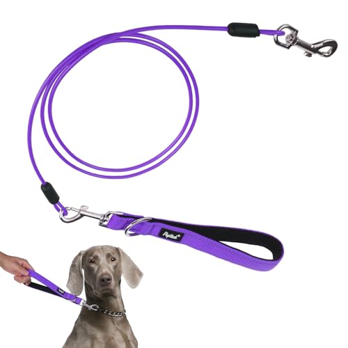 PUPTECK Chew Proof Dog Leash with Detachable Short Leashes Padded Handle Reflective, Heavy Duty Steel Cable Lead for Small Medium Large Dogs Training Walking, Purple 4.9ft - color: Purple