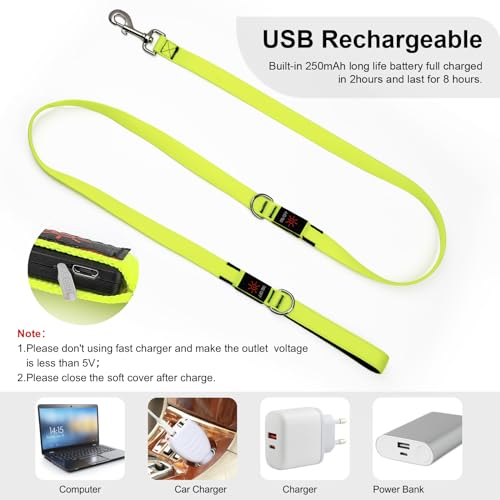 Colaseeme Light Up Dog Leash, LED Pet Leashes USB Rechargeable, Glow Safety Dogs Lights at Night (6FT,Green) - color: Green, size: 6FT