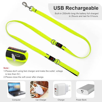 Colaseeme Light Up Dog Leash, LED Pet Leashes USB Rechargeable, Glow Safety Dogs Lights at Night (6FT,Green) - color: Green, size: 6FT