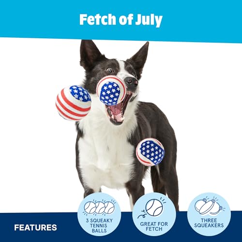 Barkbox Fetch of July Rubber Tennis Balls for Dogs & Puppies | Patriotic Trio of Squeaky Fetch Balls for Bounce, Chase & Play | Durable, Festive & Fun for Playful Pups - color: Fetch of July