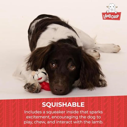 Multipet Lamb Chop Dog Plush Toy - Squeaky Toy for All Dogs - Extra Soft Plush - Stuffed Animal Dog-Toy for Cuddling & Playing - Cute Pet-Toy (6",Cream),(Pack of 3) - size: 6" (Pack of 3), style: White