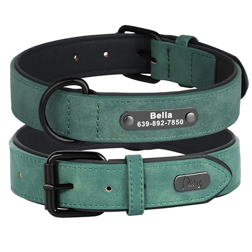 Didog Custom PU Leather Dog Collars with Personalized Engraving Nameplate,Personalized Padded Dog Collars Engraved for Medium Large Dogs,Green,XL Size - color: Green, size: XL: Fit 17-21"Neck