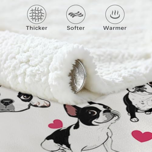 BlessLiving Boston Terrier Sherpa Blanket Queen Size 90x90 Inches - 3D Red Hearts Puppy Dog Print Super Soft Plush Fleece Throw for Adults, Women, Pet Lovers, Cute Animal Themed Gift - color: Boston Terrier, size: Queen, 90 x 90 Inches