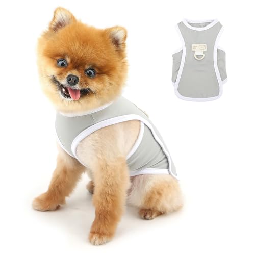 PAIDEFUL Cooling Dog Shirt for Small Dogs Summer Pet UV Sun Protection Vest Lightweight Breathable Doggie Tank Top Soft Stretchy Puppy T-Shirts Solid Cat Apparel Chihuahua Clothes D-Ring,Gray,M - color: gray, size: M