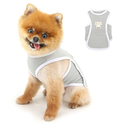 PAIDEFUL Cooling Dog Shirt for Small Dogs Summer Pet UV Sun Protection Vest Lightweight Breathable Doggie Tank Top Soft Stretchy Puppy T-Shirts Solid Cat Apparel Chihuahua Clothes D-Ring,Gray,XL - color: gray, size: XL