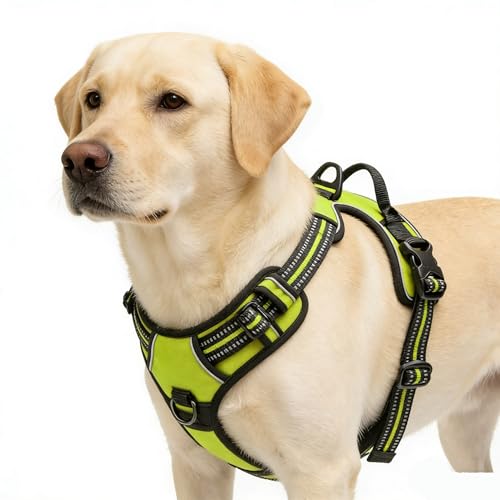 Green No-Pull Dog Harness with 2 Leash Clips，Soft Padded Vest for Small Dog, Adjustable Reflective Dog Vest Easy to Put on and Take Off,(Neck: 13"~17", Chest: 17"~21",Green Small) - color: Green, size: Small