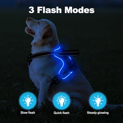 Lighted Dog Harness - No Pull, Glowing LED Harness with Handle for Small to Large Dogs - color: Blue, size: S