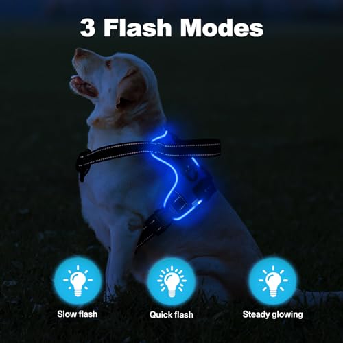 Led Dog Harness - Rechargeable Illuminated & Reflective No Pull Glow Vest for Small - Large Dogs - color: Blue, size: XL