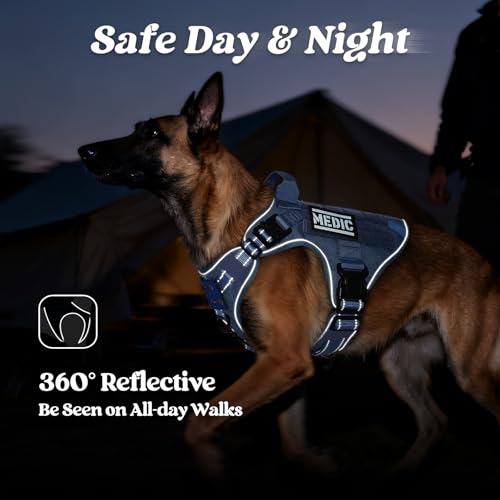 rabbitgoo Tactical Dog Harness Medium Sized, No Pull Upgraded Reflective Heavy Duty Molle Vest with Handle, Adjustable Military Service Dog Vest for Walking Hiking Training, Blue, M - color: Blue Reflective, size: Medium